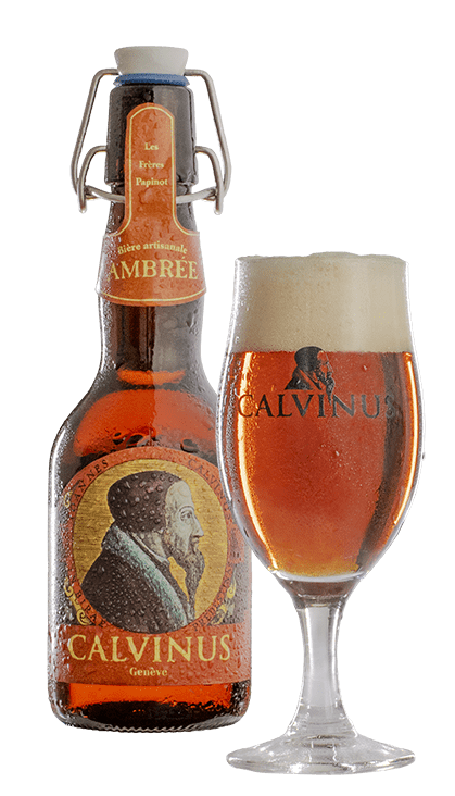 Calvinus Ambrée vol.alc.4.8% Tray 4 x 6 x 0,33 l Bouteille Verre jetable