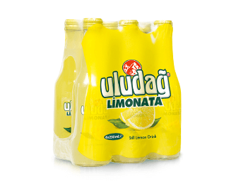 Uludag Orange Gazoz 4 x 6 x 0,25 l Bouteille verre  jetable 