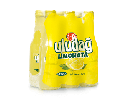 Uludag Orange Gazoz 4 x 6 x 0,25 l Bouteille verre  jetable 