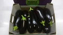 Aubergine ronde 5kg