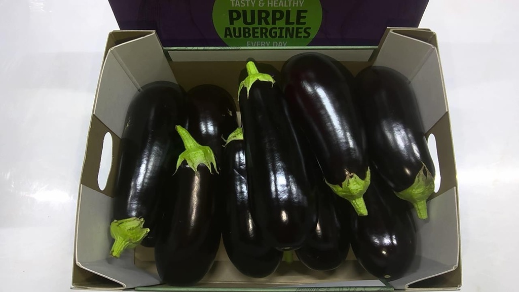 Aubergine ronde 5kg