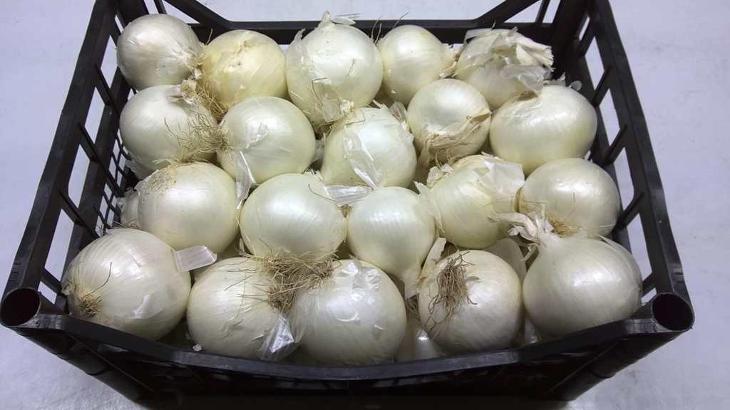 Oignons Blanc Gros sac 10kg