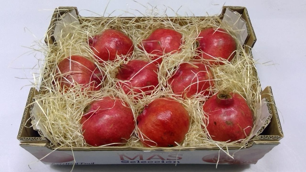 Aubergine ronde 5kg (copie)