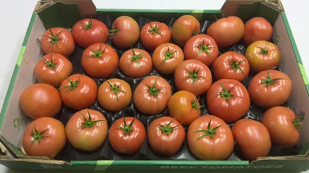 Tomate ronde 6.200gr