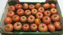 Tomate ronde 6.200gr