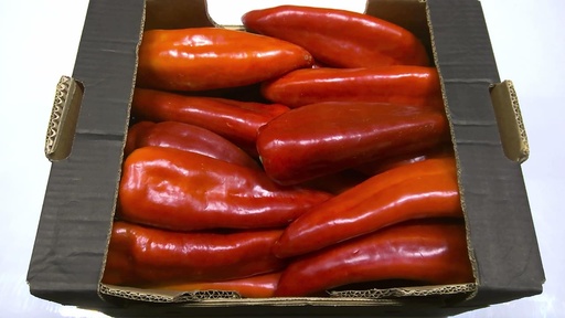 [60042] Poivron Kapia rouge Filmée 15 x 400g= 6.kg