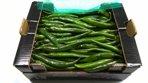 [60056] Piment piquant vert 4000gr