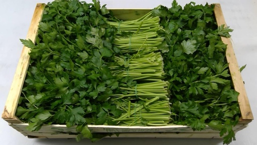 [60080] Persil Plate Caisse 4kg