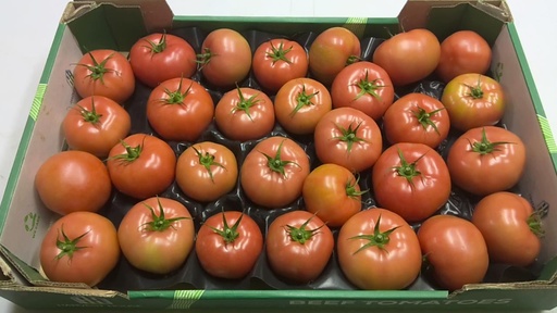 [60089] Tomate Charnue BB 7kg (copie)